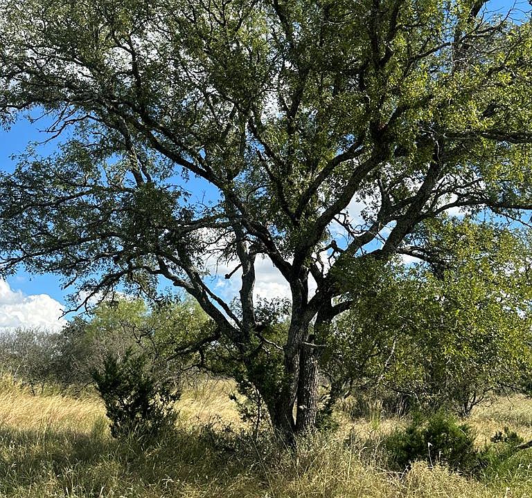 1st image of 1981 Kothmann Rd