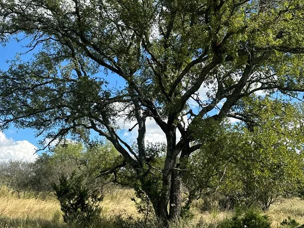 1981 Kothmann Rd, Mason, TX 76856