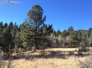 872 Pulver Rd, Lake George, CO 80827