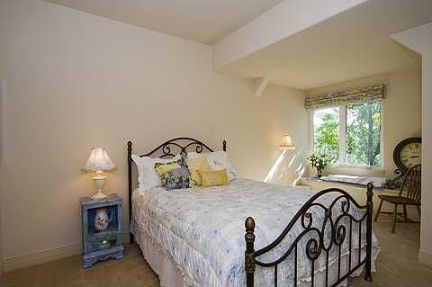 HORNED OWL - BASEMENT BED 1