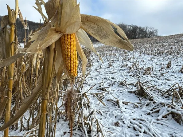 0 County Road XX, Independence, WI 54747