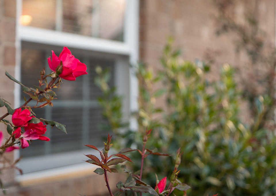 3607 Kiki Ct, Louisville, KY 40219 Zillow