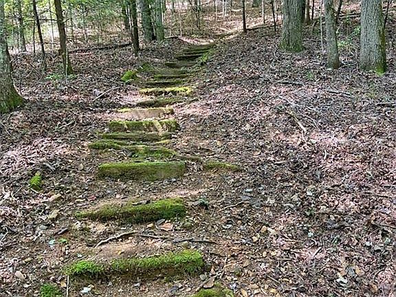 4th image of 1556 Syrup Mill Rd