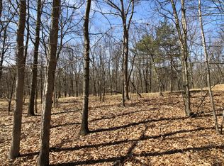0 Hicks Hill Rd LOT 5, Pine Plains, NY 12581