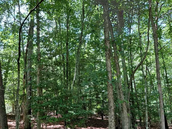 8 S Quail Cove Cir, Warne, NC 28909