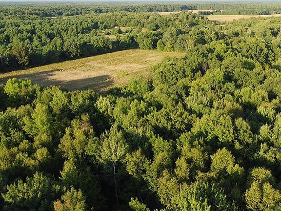 5th image of Lot 1 340th Avenue