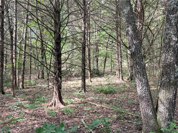 10 Seaton Dr, Bella Vista, AR 72714
