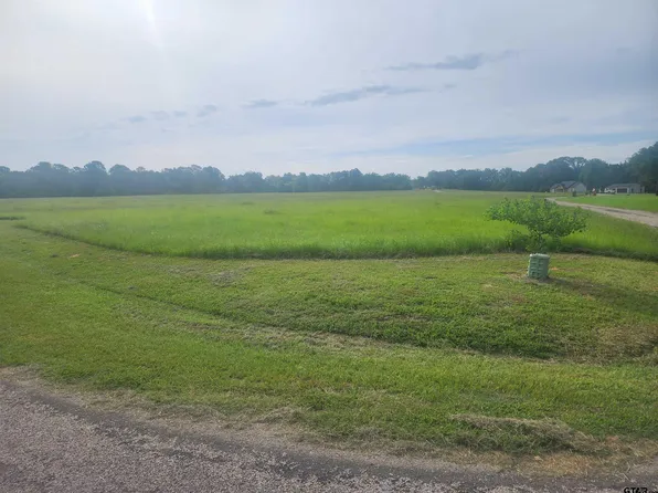 County Road 2136, Pittsburg, TX 75686