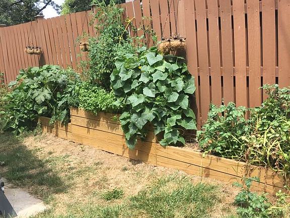 Raised planter boxes.