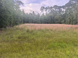 Xx Del Monte St, Milton, FL 32583