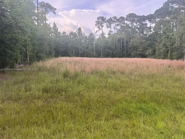 Xx Del Monte St, Milton, FL 32583