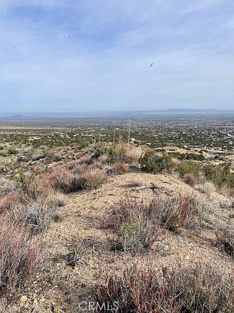 1st image of LOT Five