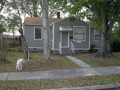 Front View (Dog not included)