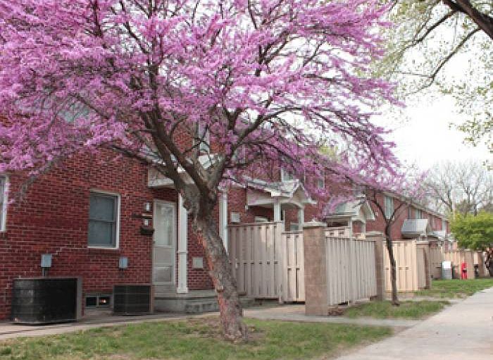 Colyer Manor Rowhouse 1