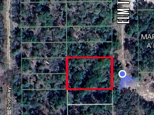 111 ELM Trail, Interlachen, FL 32148