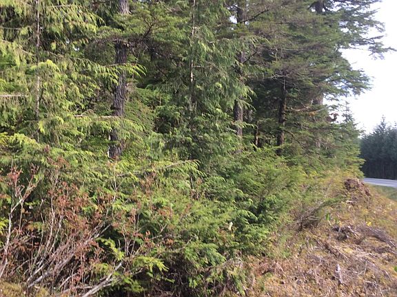 2nd image of 9-85 Mitkof Hwy