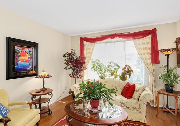 Bright sunny living room