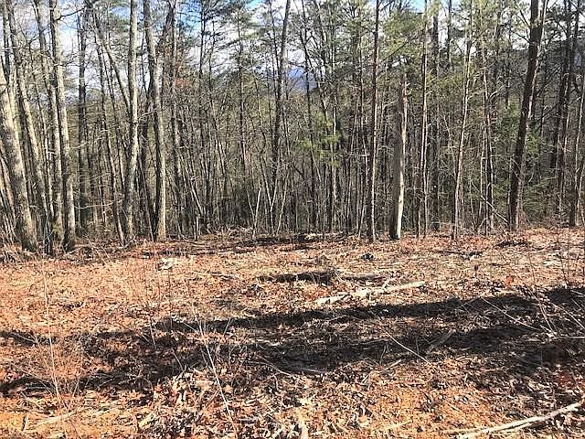 1st image of 33 Storm Bringer Dr Lot 33