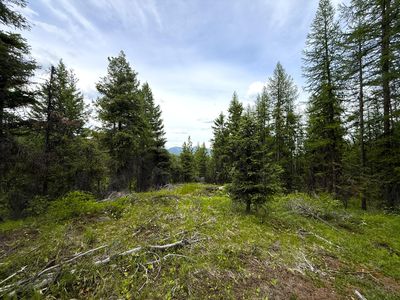 Tbd Mule Deer Rd, Republic, WA, 99166