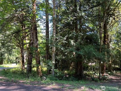 0 Mountain Trail, Brinnon, WA, 98320