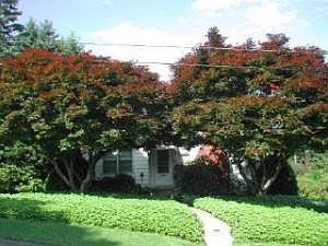 1st image of 130 Grove St #S