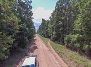 Hickman Rd, Corrigan, TX 75939