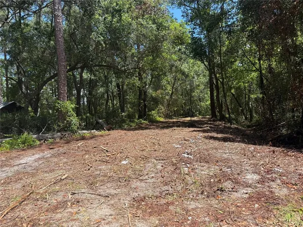 NE 115th Ave, Fort Mc Coy, FL 32134