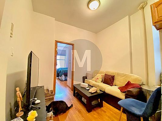 3rd image of 159 E 99th St APT B