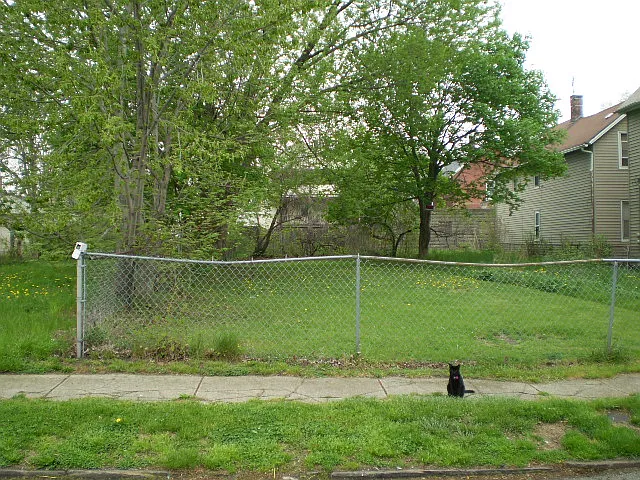 York Ave photo 1