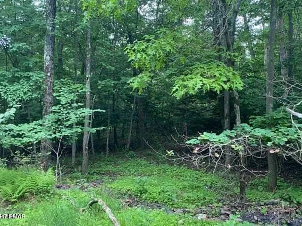 263 Buck Fever Trl, Scotrun, PA 18355