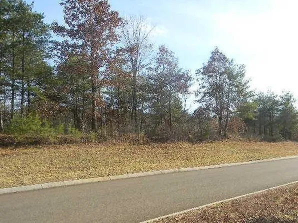 Red Wing Dr, Vonore, TN