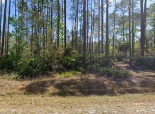 104 Lakeshore Dr #22, Georgetown, FL 32139