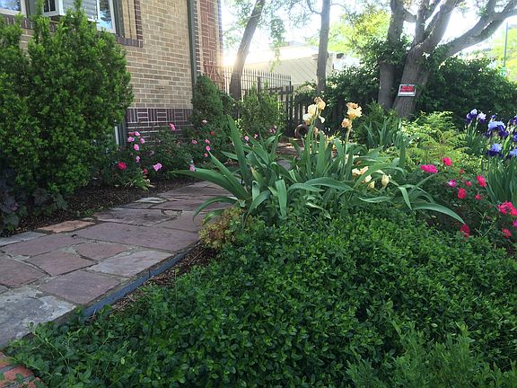Front Entry Garden