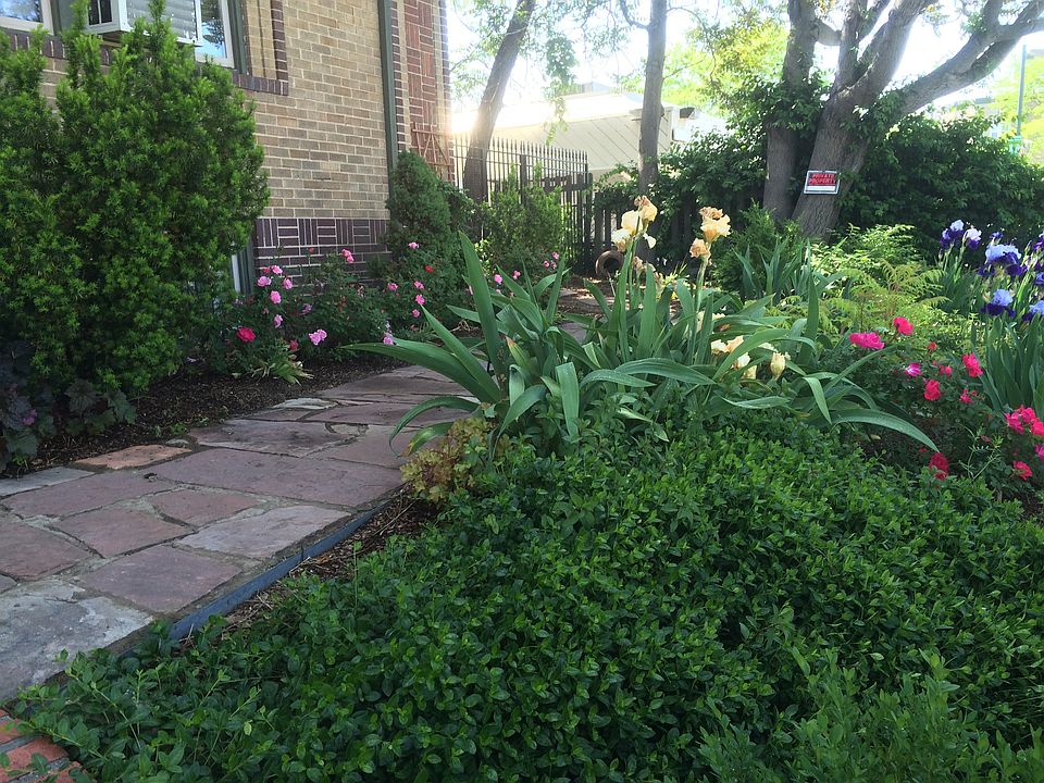 Front Entry Garden