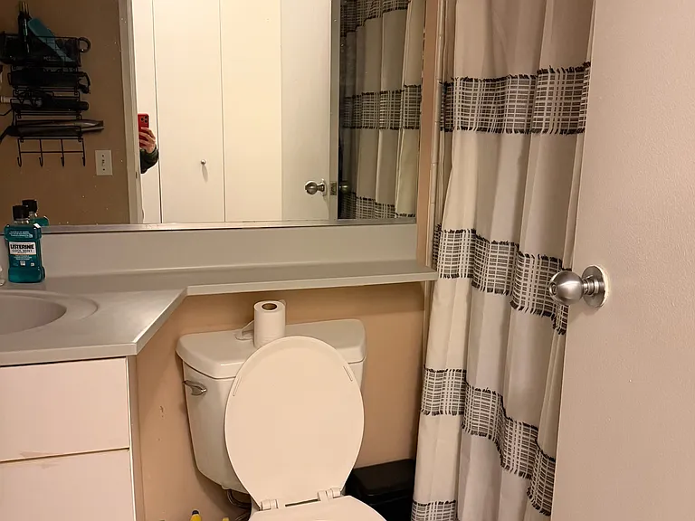 3660 N Lake Shore Dr #3309 — Photo 23