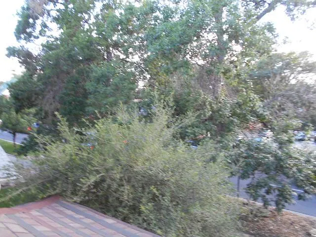 View from uni