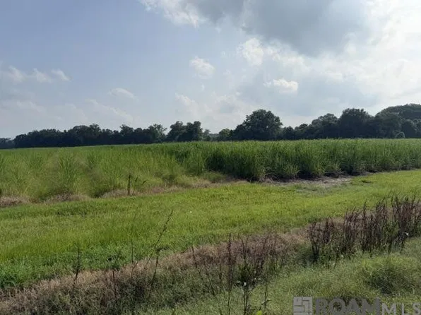 7625 False River Rd, Oscar, LA 70762