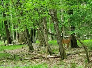 Navajo Trl, Albrightsville, PA 18210