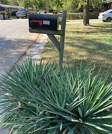 4th image of 4059 Bruene Ave
