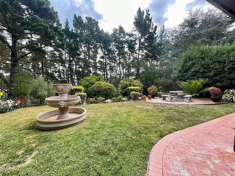 284 Forest Ridge Rd — Photo 16