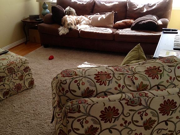 Living rm - light & bright!