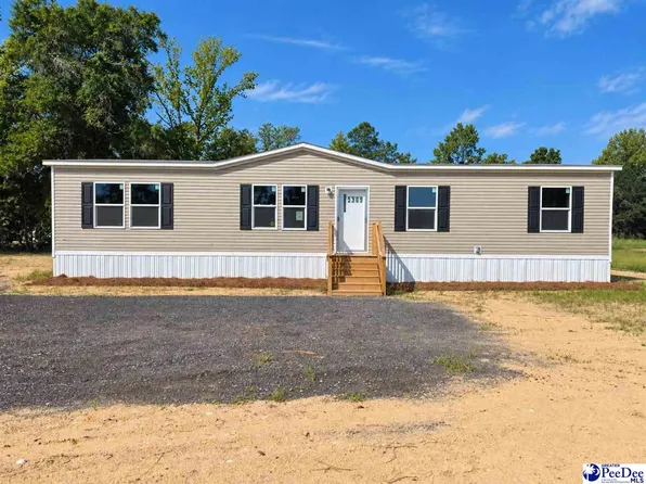 5309 Meadow Prong Rd, Effingham, SC 29541