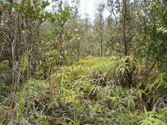 1st image of Road 3 Hopue Lot 2979
