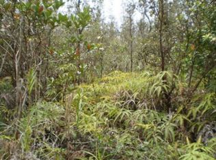Road 3 Hopue LOT 2979, Mountain View, HI 96771