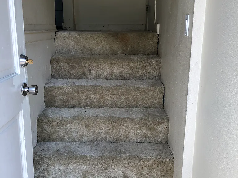 14928 41st Pl S — Photo 11