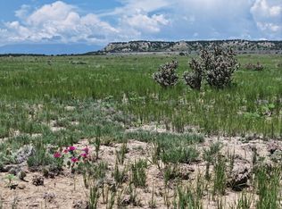 Narrow Gauge Way, Avondale, CO 81022
