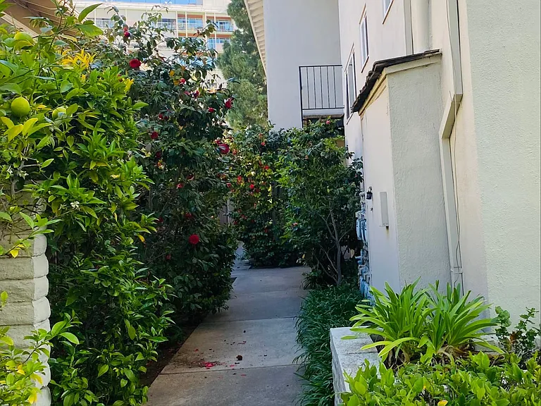 Side Yard