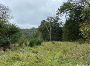 482 Union Grove Rd, Pleasant Plains, AR 72568