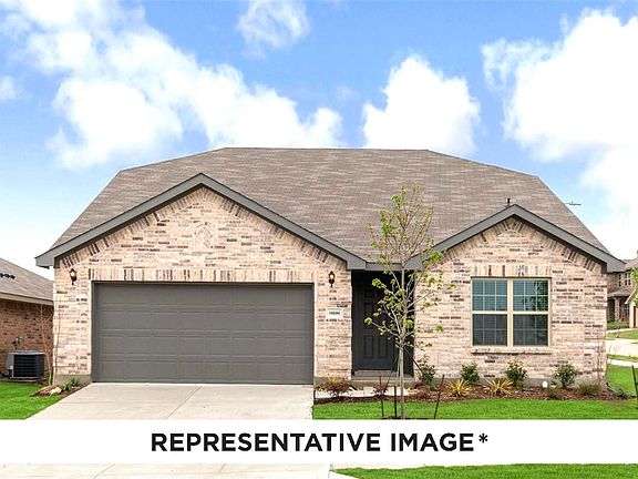 Walnut with Elevation H