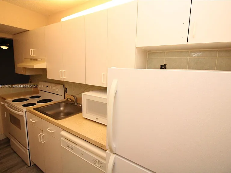 1251 NE 108th St #312 — Photo 9